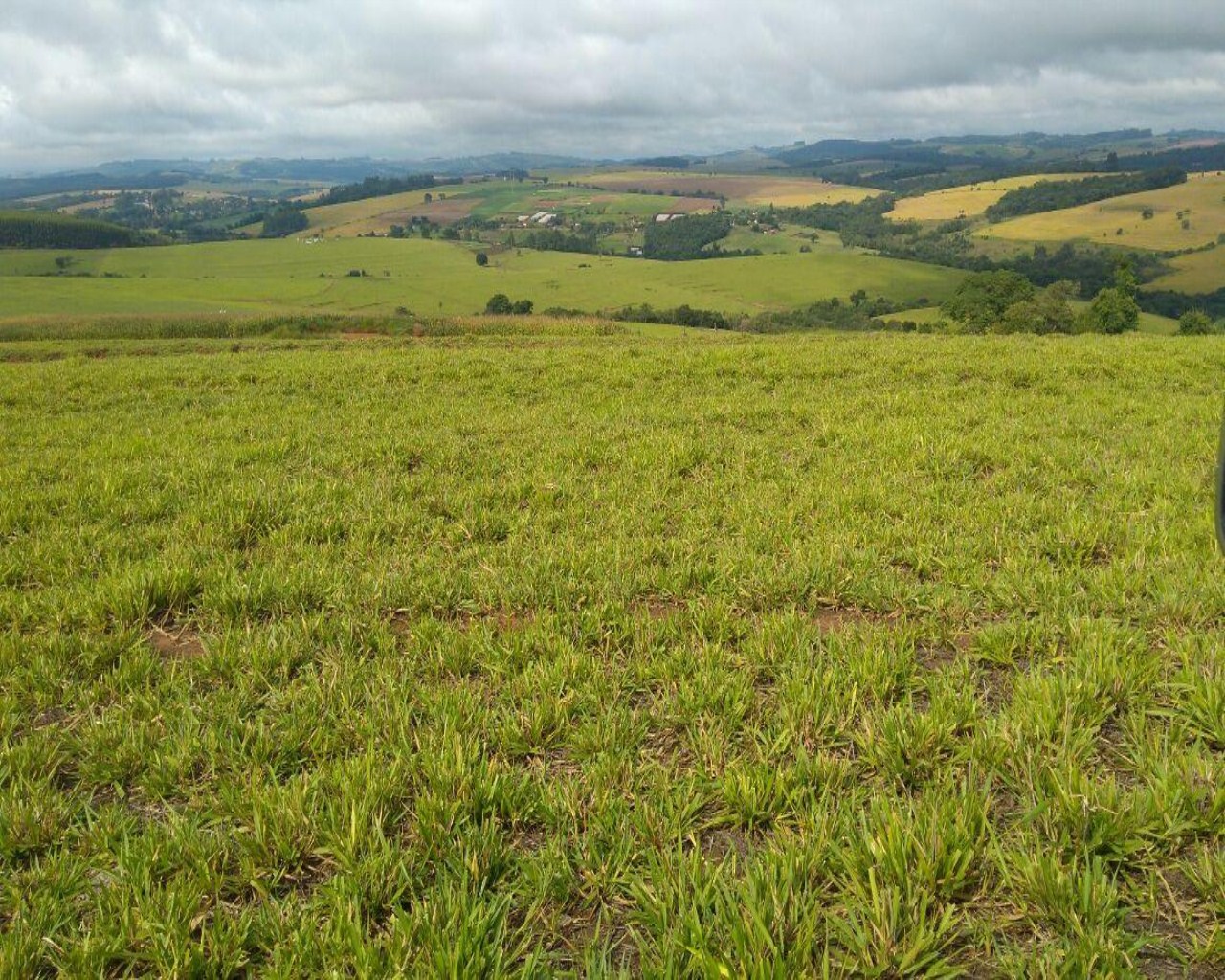 Fazenda à venda com 1 quarto, 213m² - Foto 1