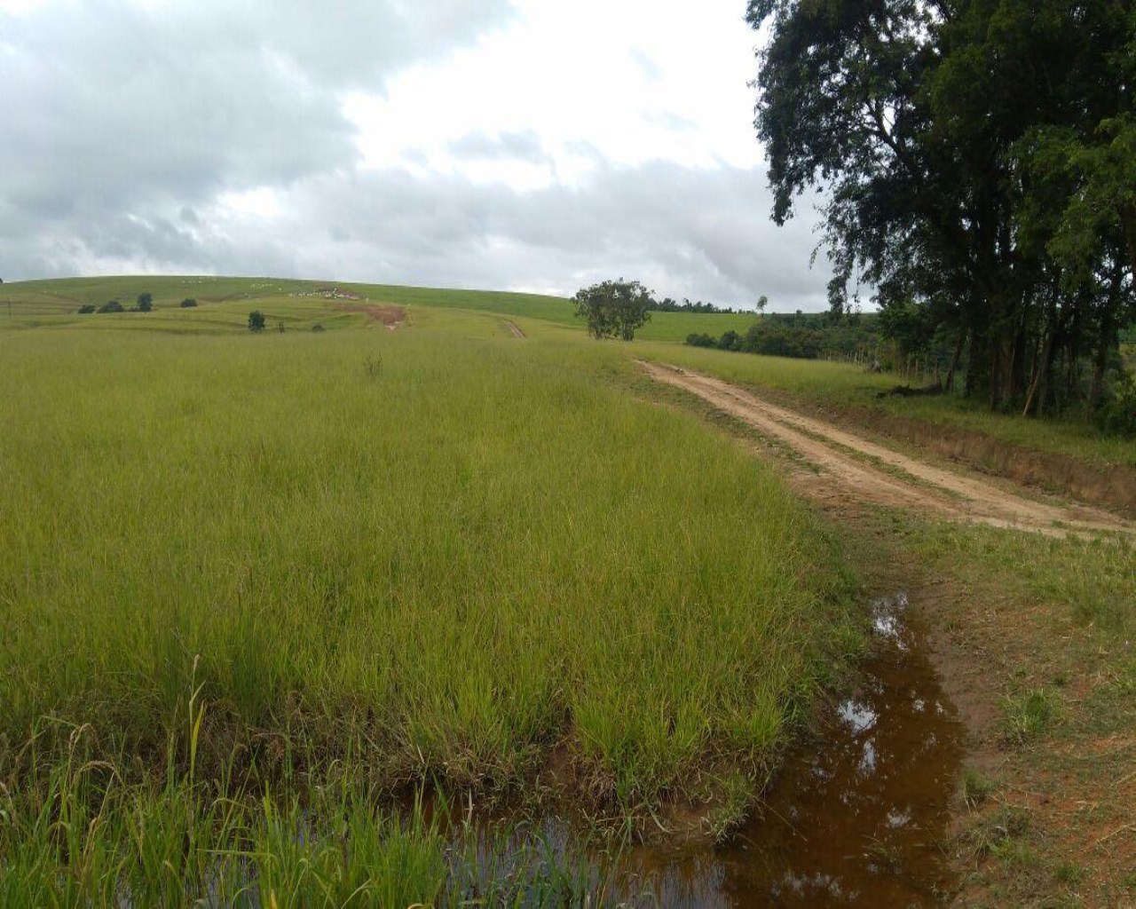 Fazenda à venda com 1 quarto, 213m² - Foto 3