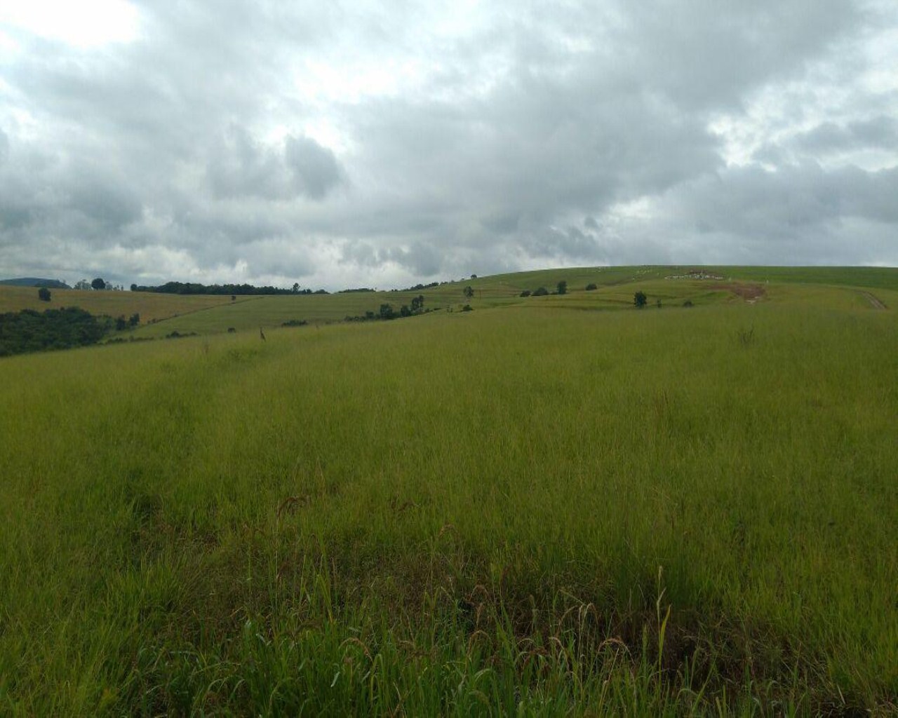 Fazenda à venda com 1 quarto, 213m² - Foto 4