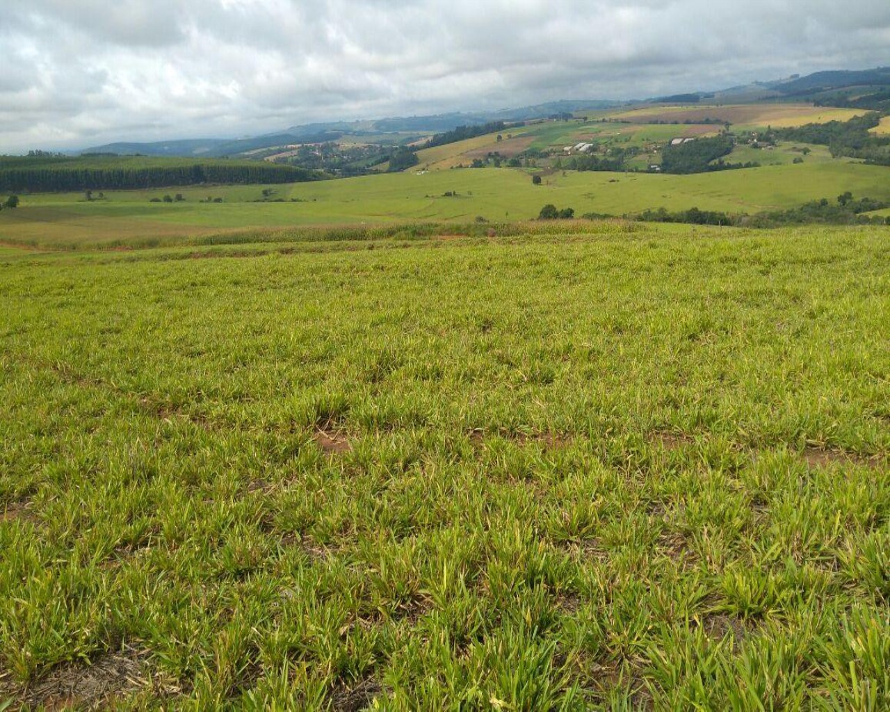 Fazenda à venda com 1 quarto, 213m² - Foto 6