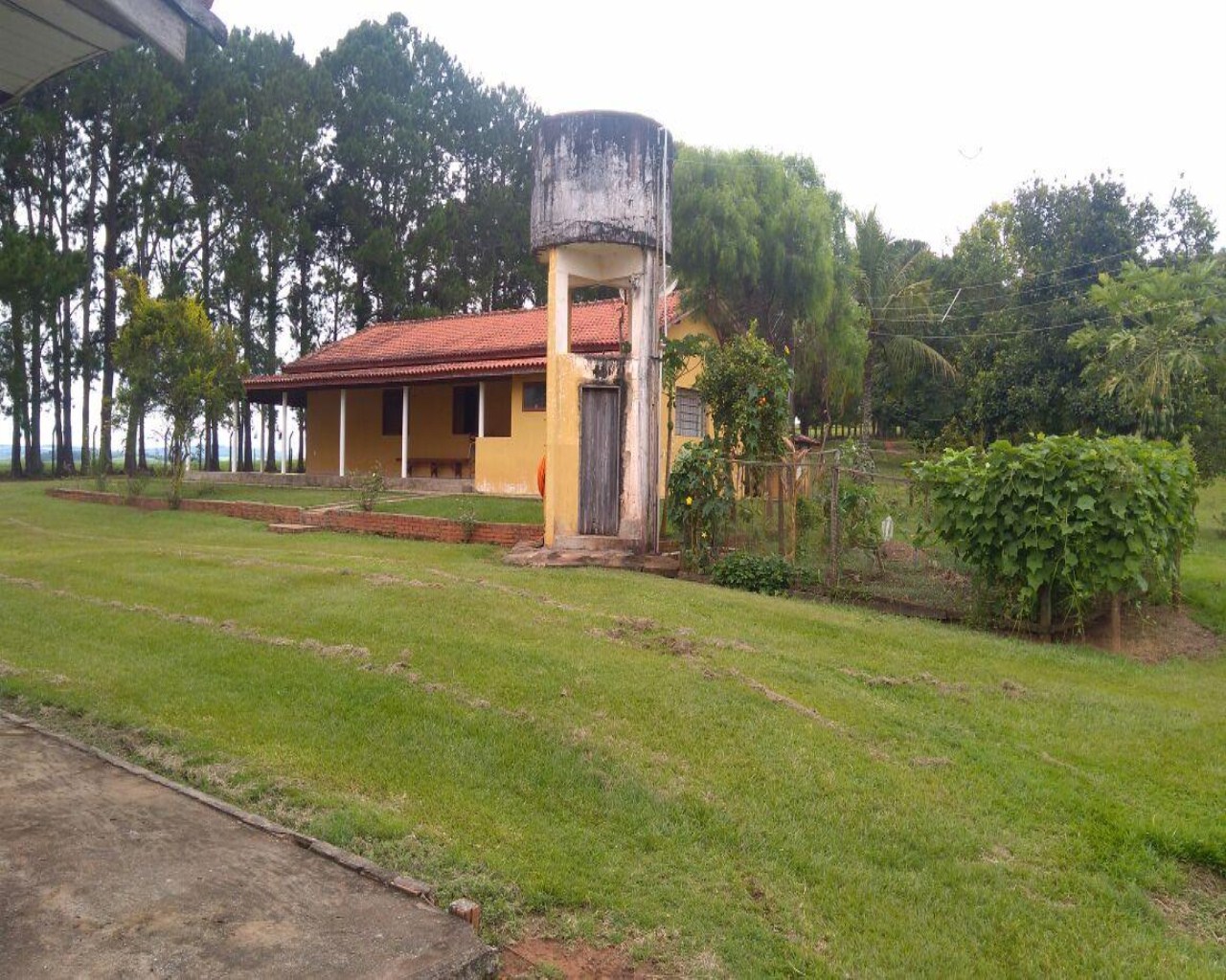 Fazenda à venda com 1 quarto, 213m² - Foto 9