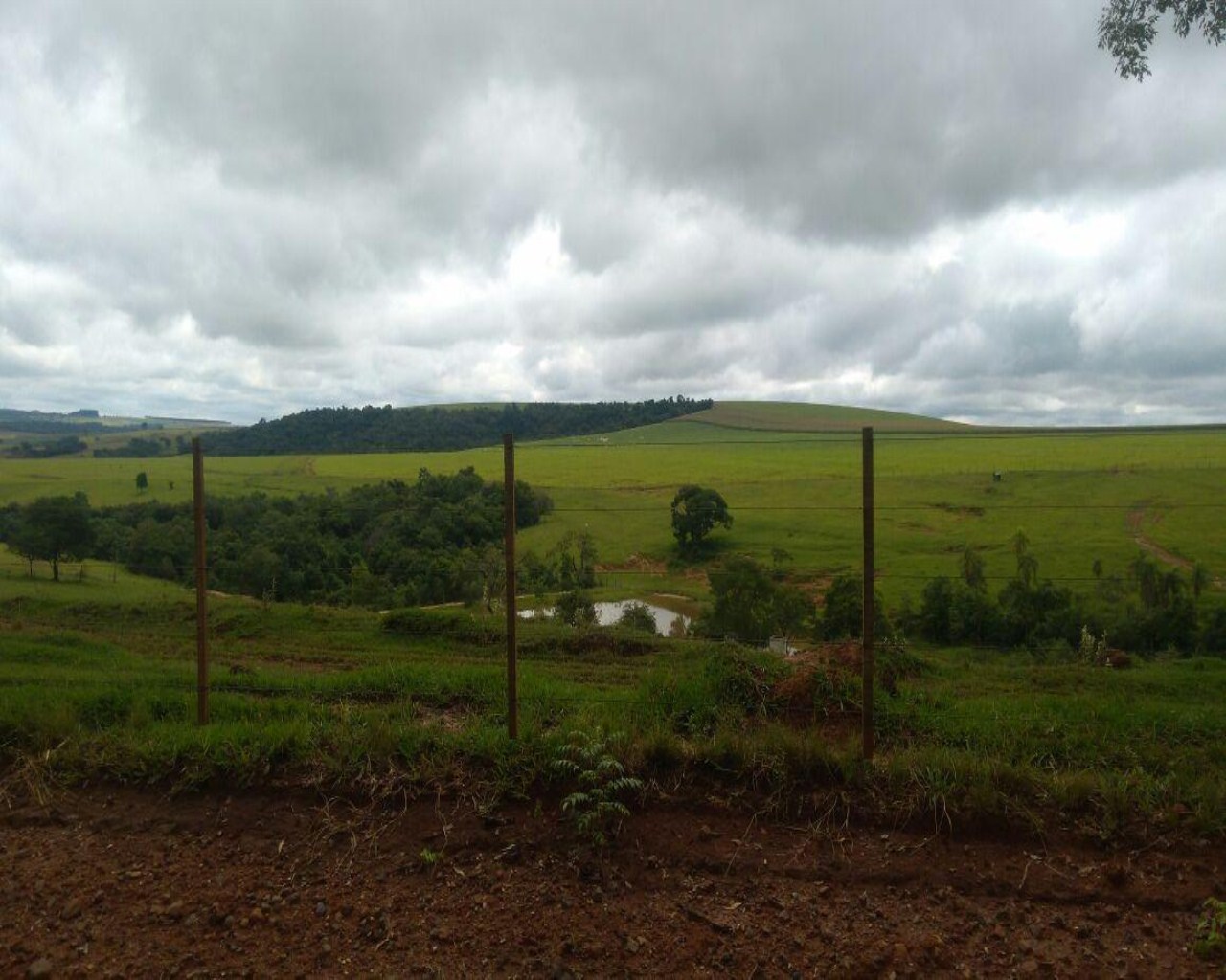 Fazenda à venda com 1 quarto, 213m² - Foto 14