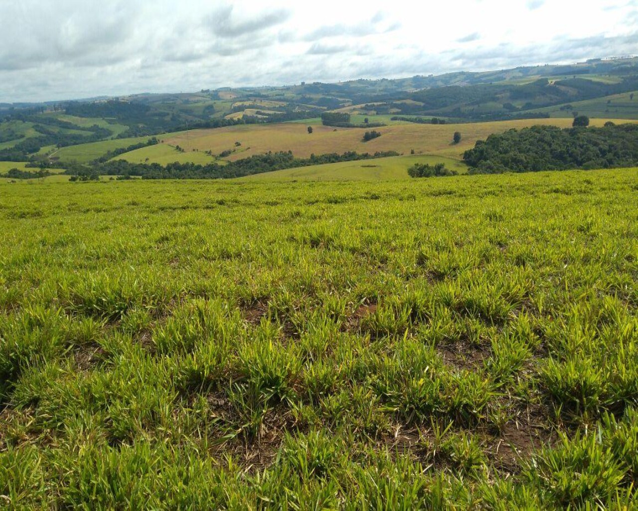 Fazenda à venda com 1 quarto, 213m² - Foto 16