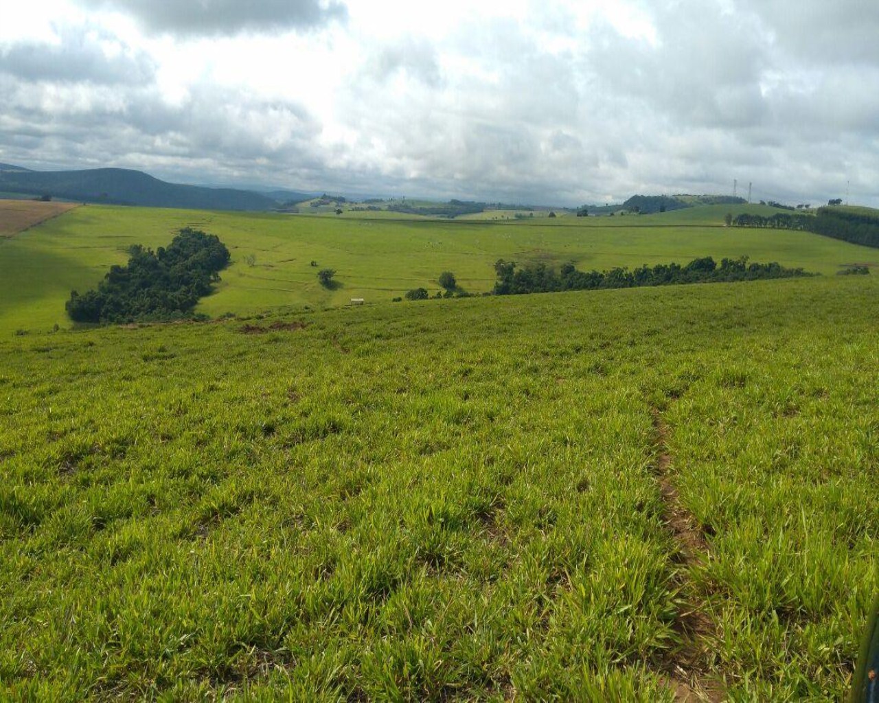 Fazenda à venda com 1 quarto, 213m² - Foto 17