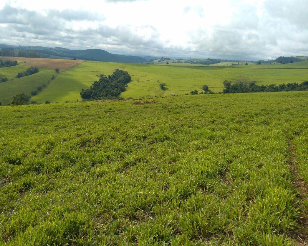 Fazenda à venda com 1 quarto, 213m² - Foto 18