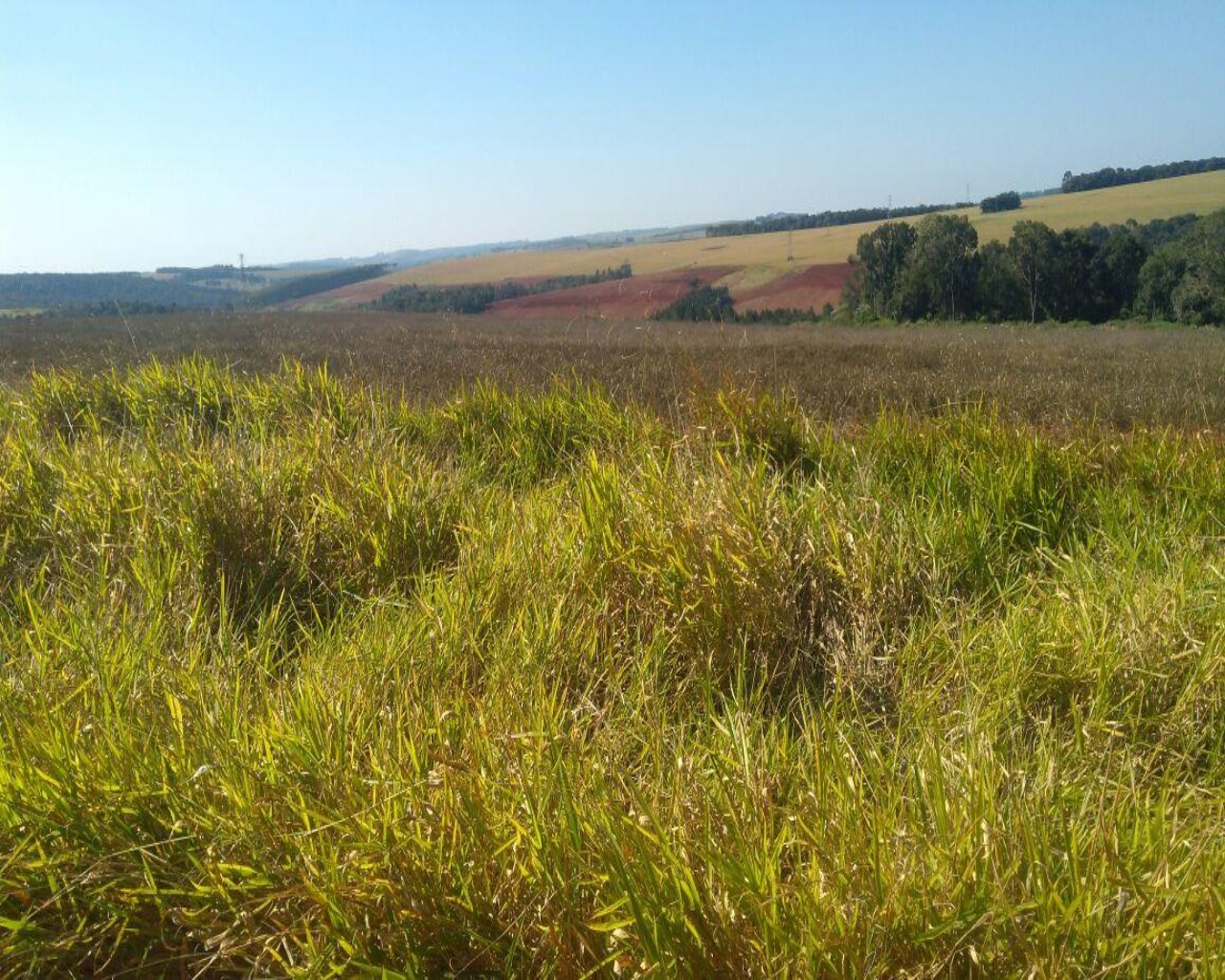 Fazenda à venda com 1 quarto, 623m² - Foto 1