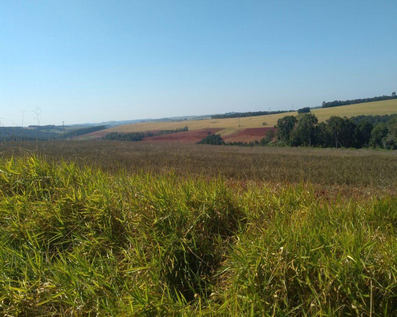 Fazenda à venda com 1 quarto, 623m² - Foto 8