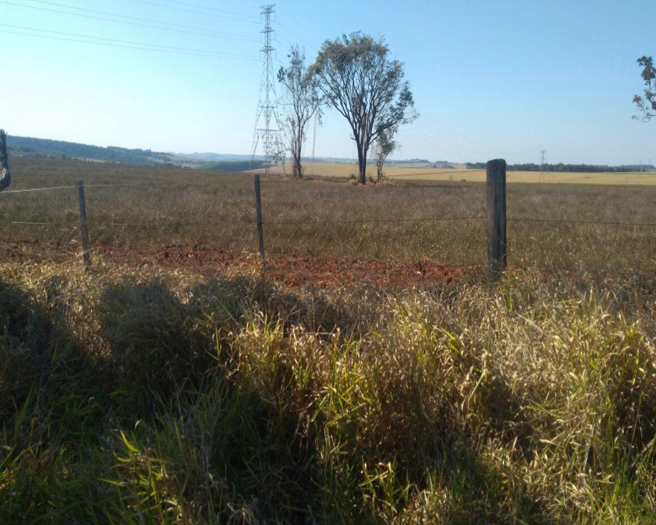 Fazenda à venda com 1 quarto, 623m² - Foto 10