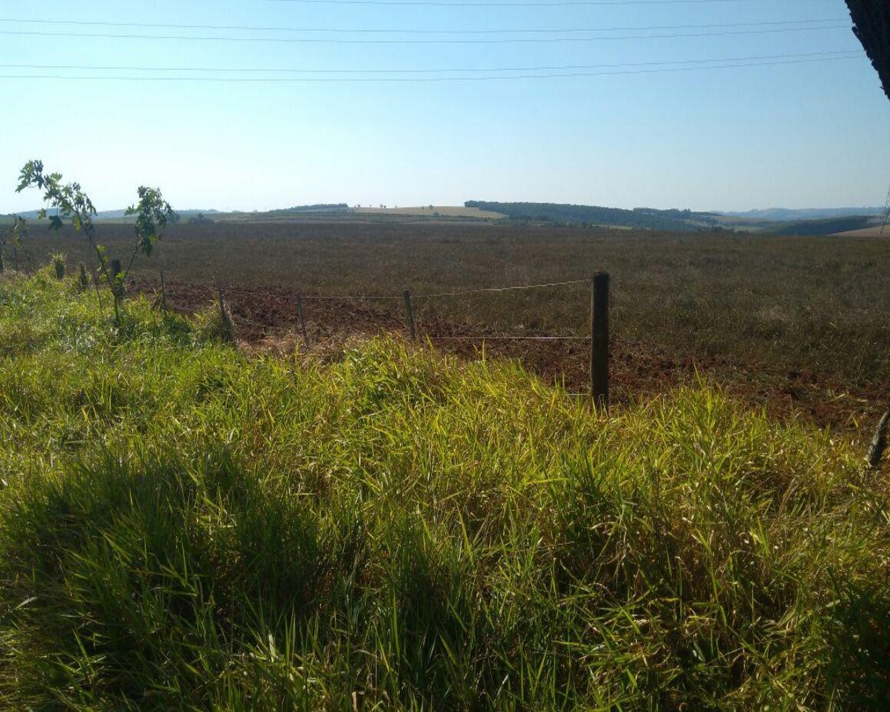 Fazenda à venda com 1 quarto, 623m² - Foto 17