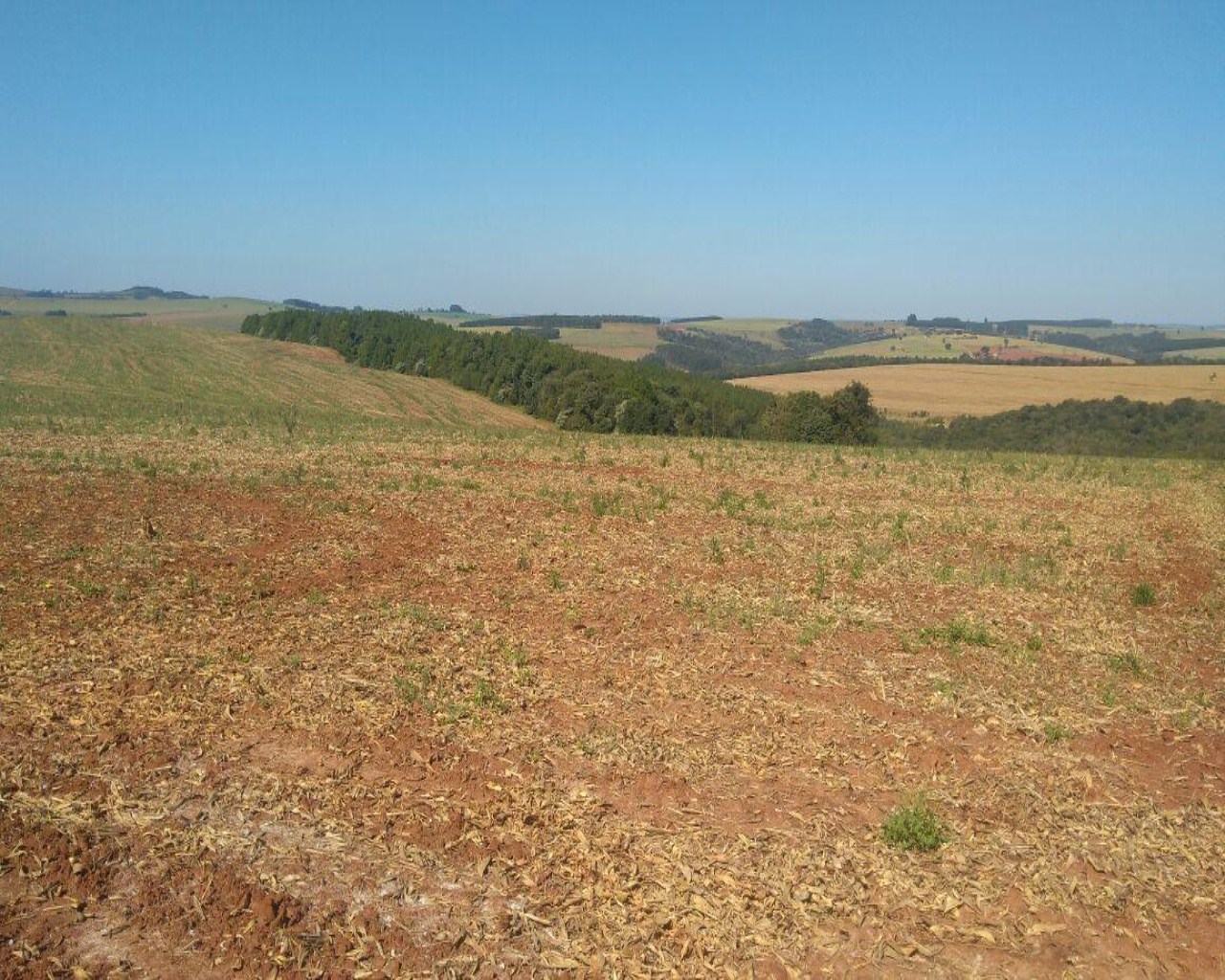 Fazenda à venda com 1 quarto, 623m² - Foto 31