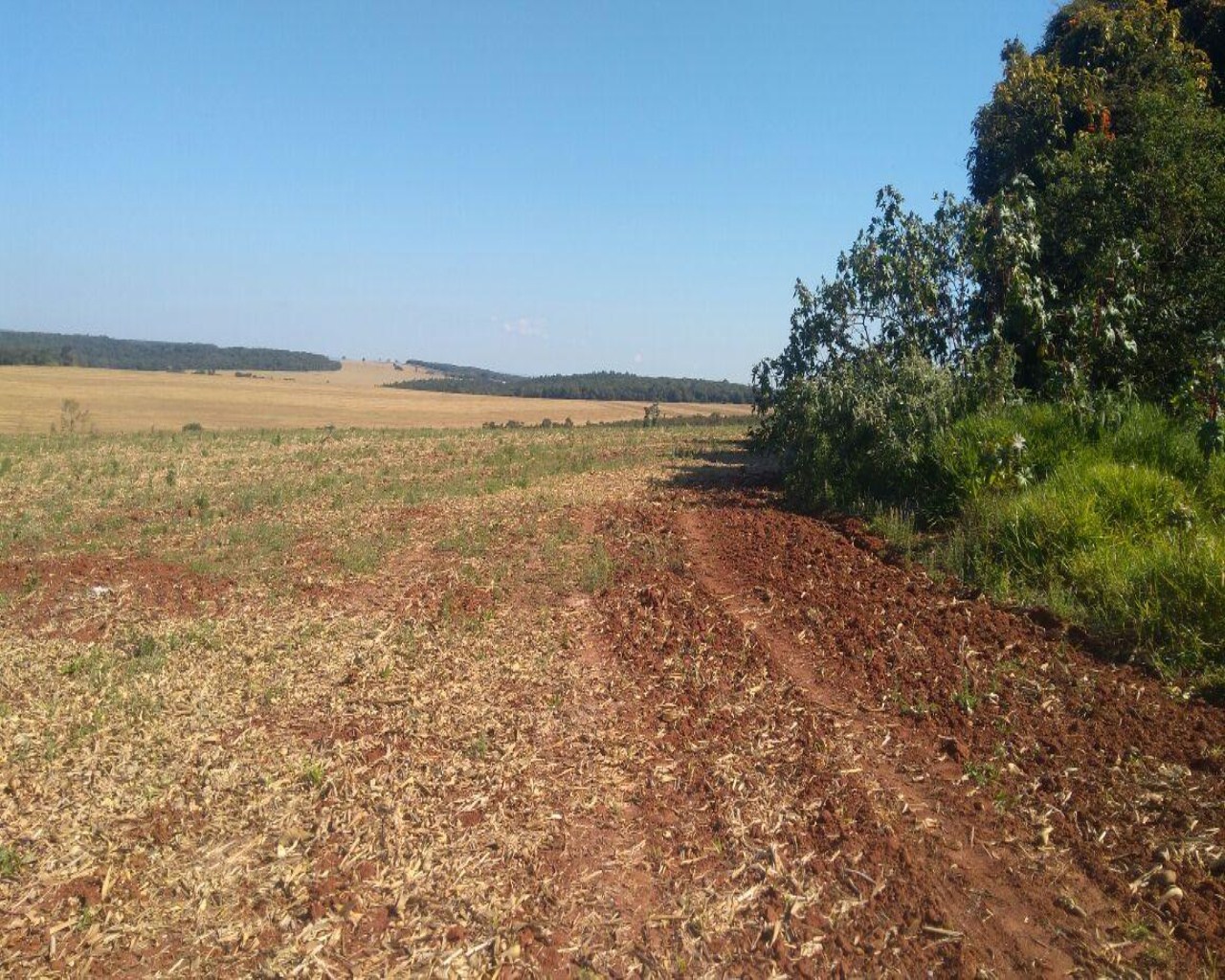 Fazenda à venda com 1 quarto, 623m² - Foto 32