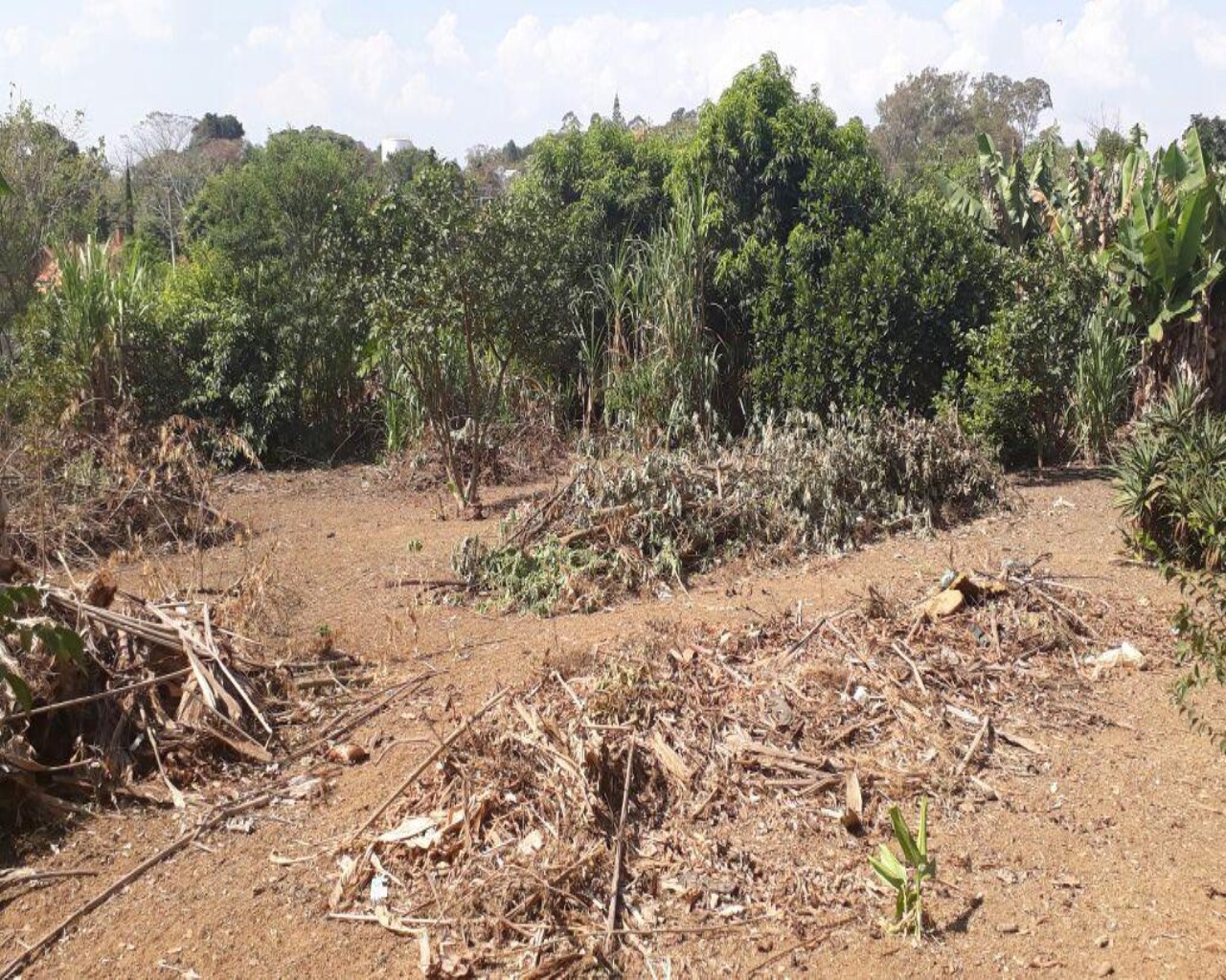 Terreno à venda, 1000m² - Foto 6