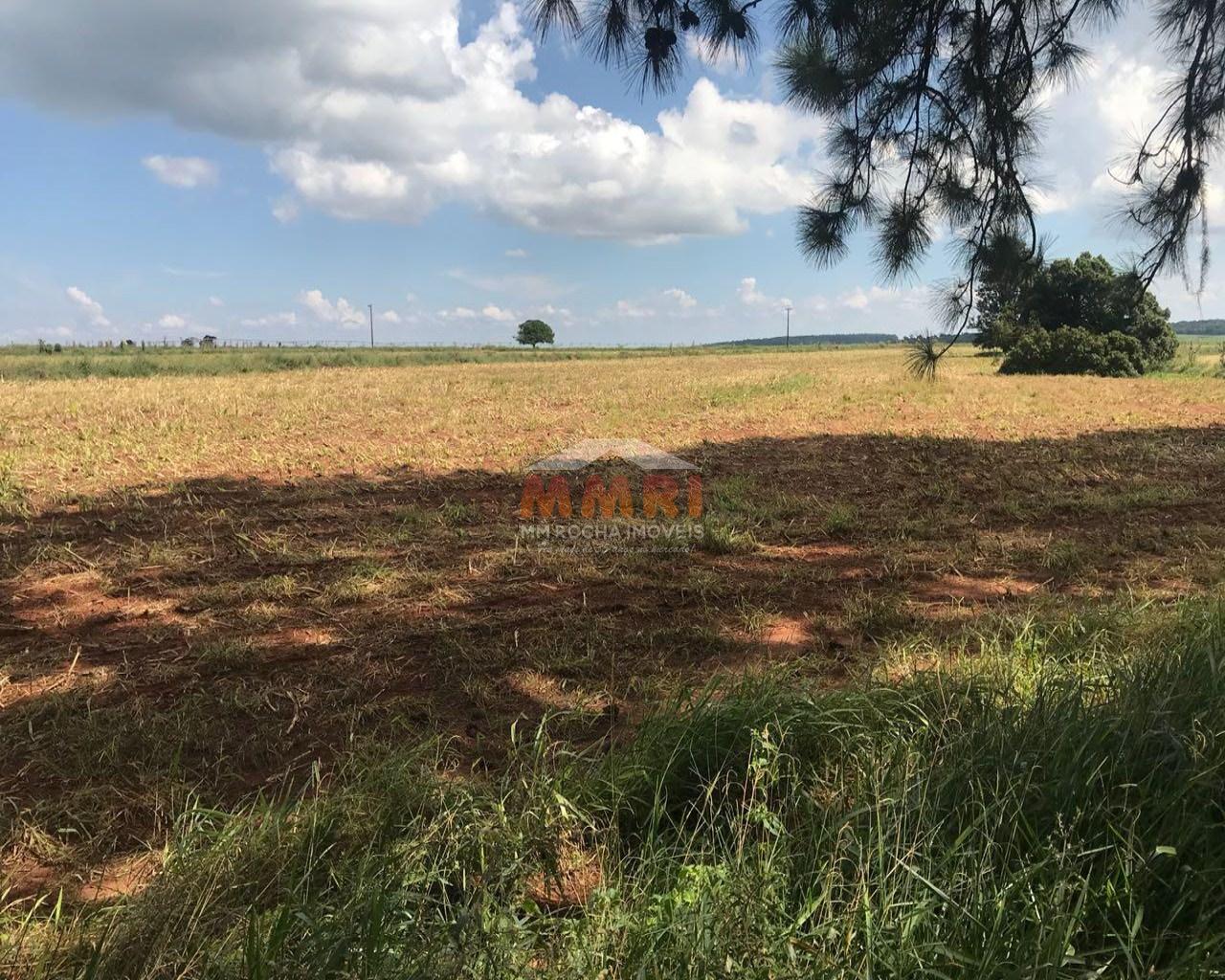 Fazenda à venda com 2 quartos, 185m² - Foto 3