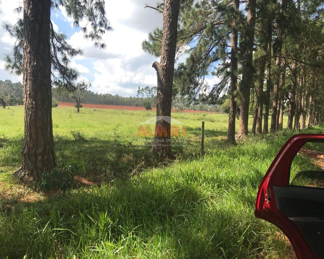 Fazenda à venda com 2 quartos, 185m² - Foto 5