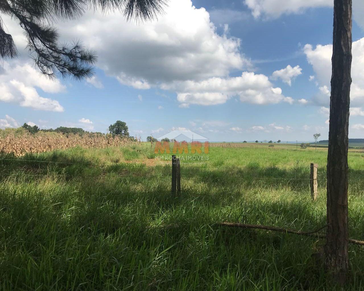 Fazenda à venda com 2 quartos, 185m² - Foto 13