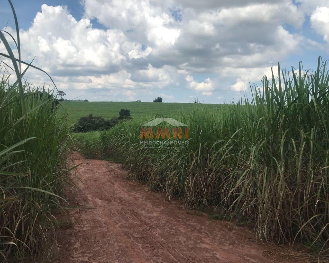 Fazenda à venda com 2 quartos, 185m² - Foto 16