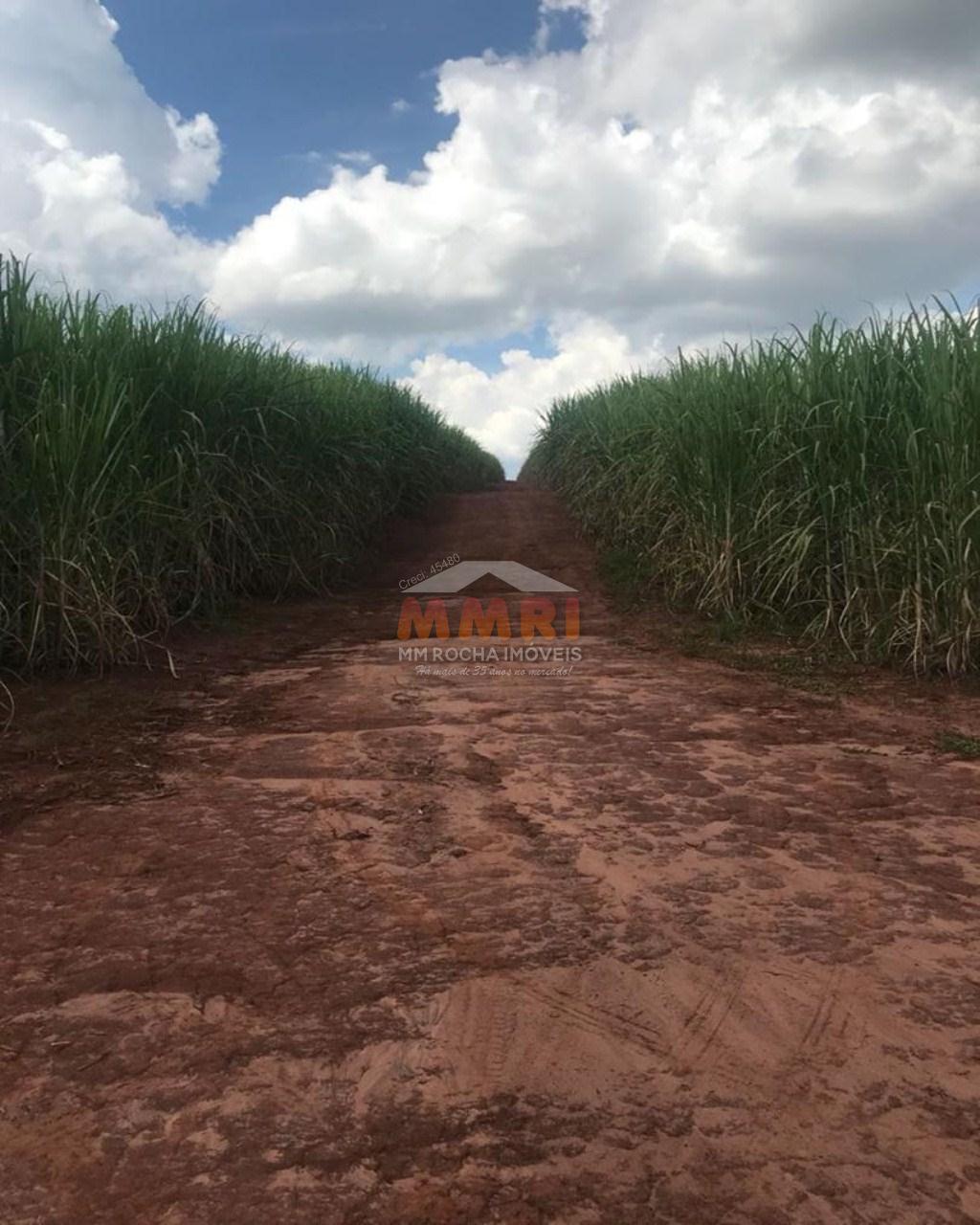 Fazenda à venda com 2 quartos, 185m² - Foto 18