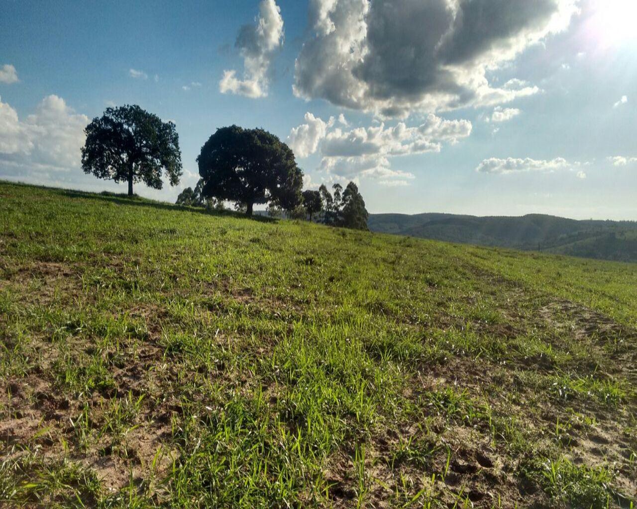 Fazenda à venda com 1 quarto, 138m² - Foto 1