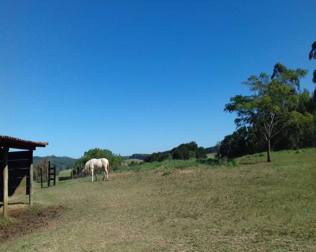 Fazenda à venda com 1 quarto, 137m² - Foto 3