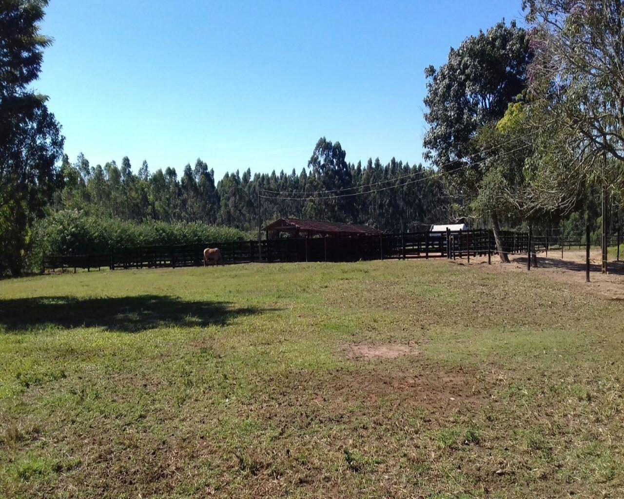 Fazenda à venda com 1 quarto, 137m² - Foto 6