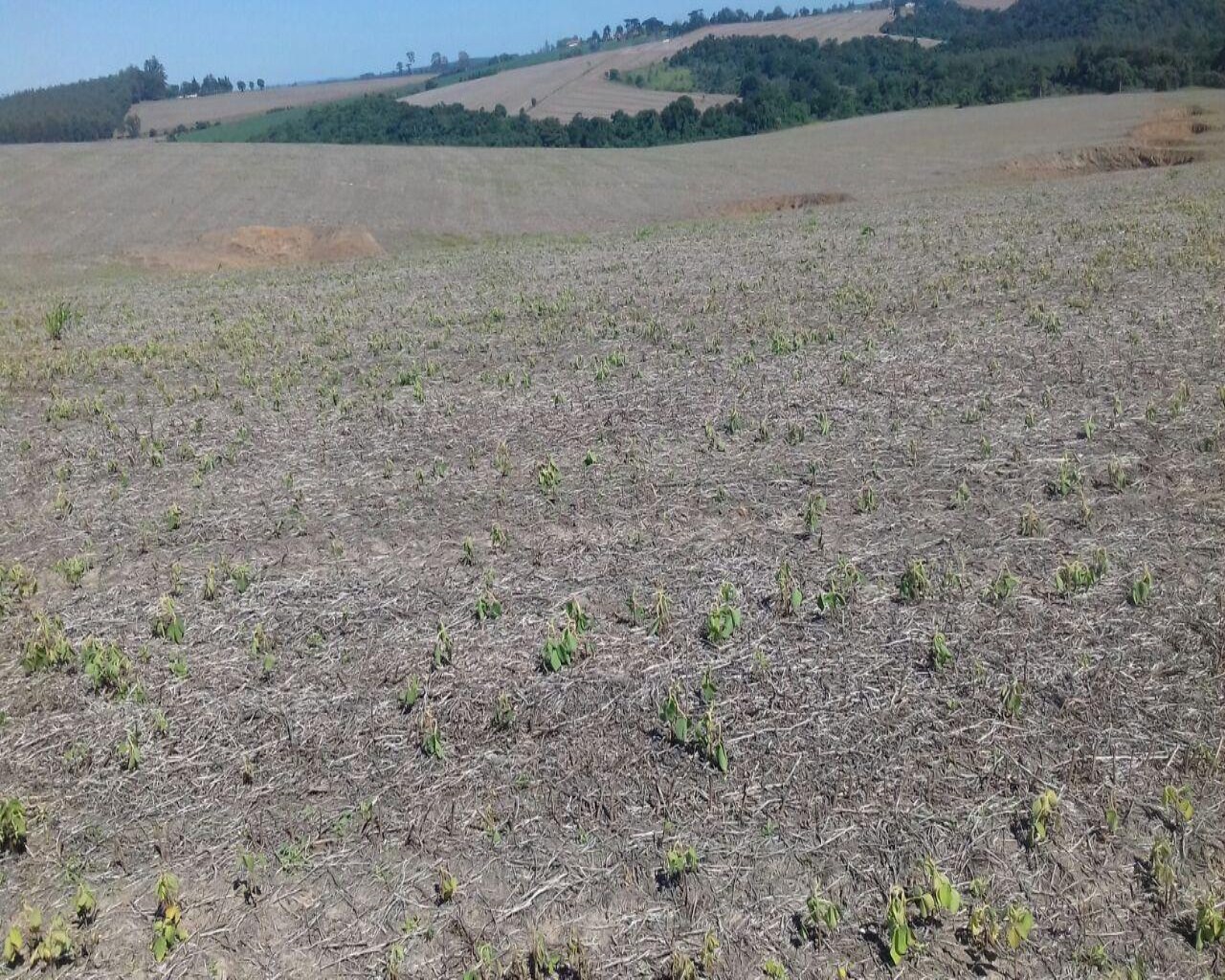 Fazenda à venda com 1 quarto, 106m² - Foto 1