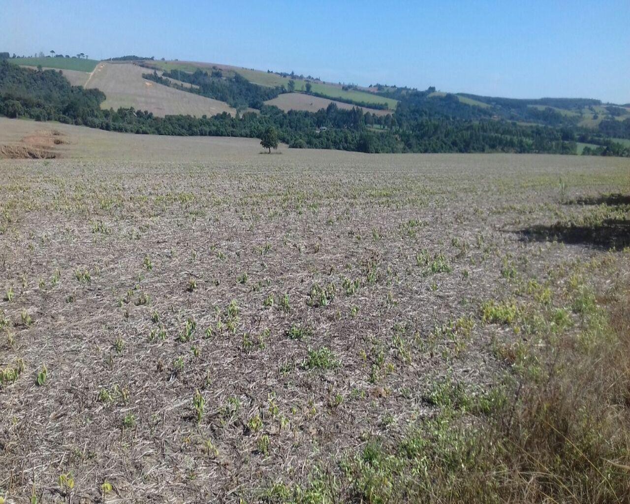 Fazenda à venda com 1 quarto, 106m² - Foto 3