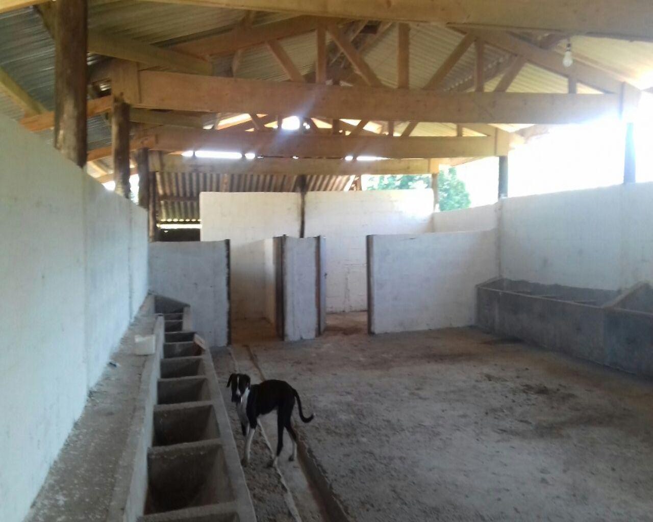 Fazenda à venda com 1 quarto, 106m² - Foto 13