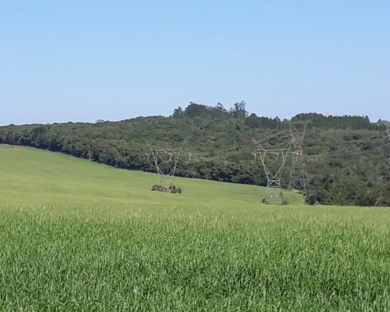 Fazenda à venda com 1 quarto, 340m² - Foto 12