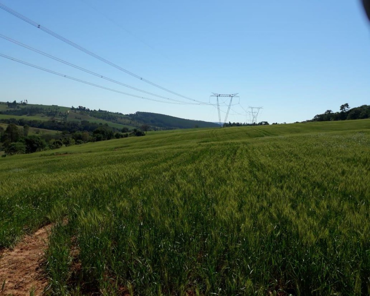 Fazenda à venda com 1 quarto, 340m² - Foto 16