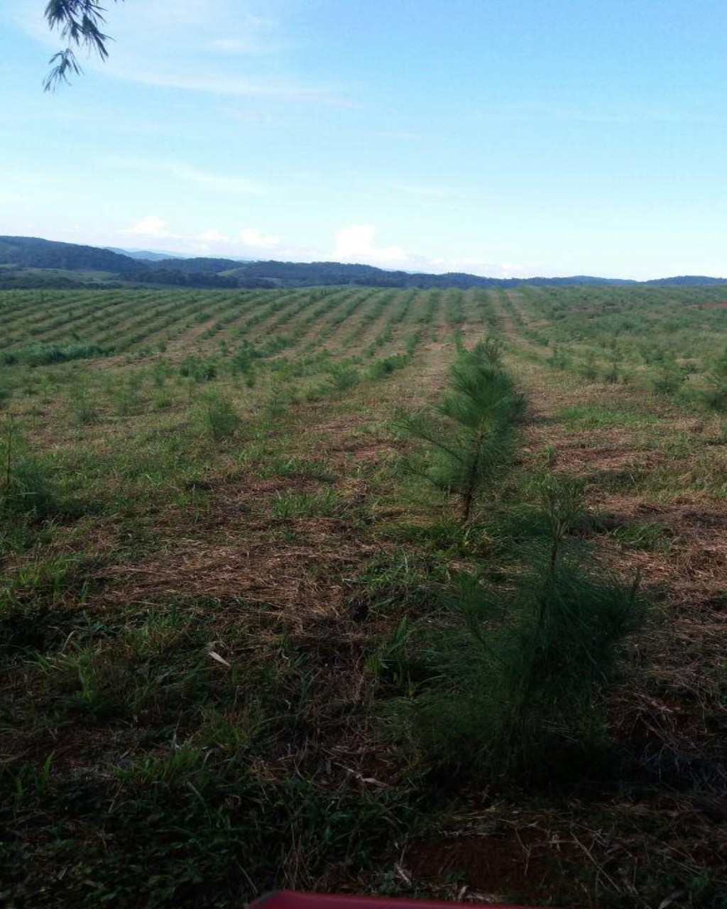 Fazenda à venda, 160m² - Foto 14