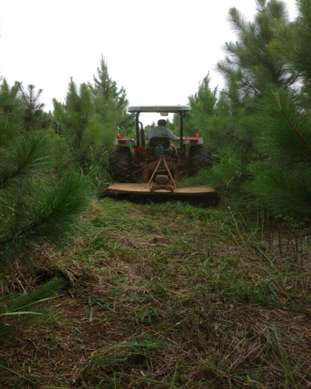 Fazenda à venda, 160m² - Foto 16