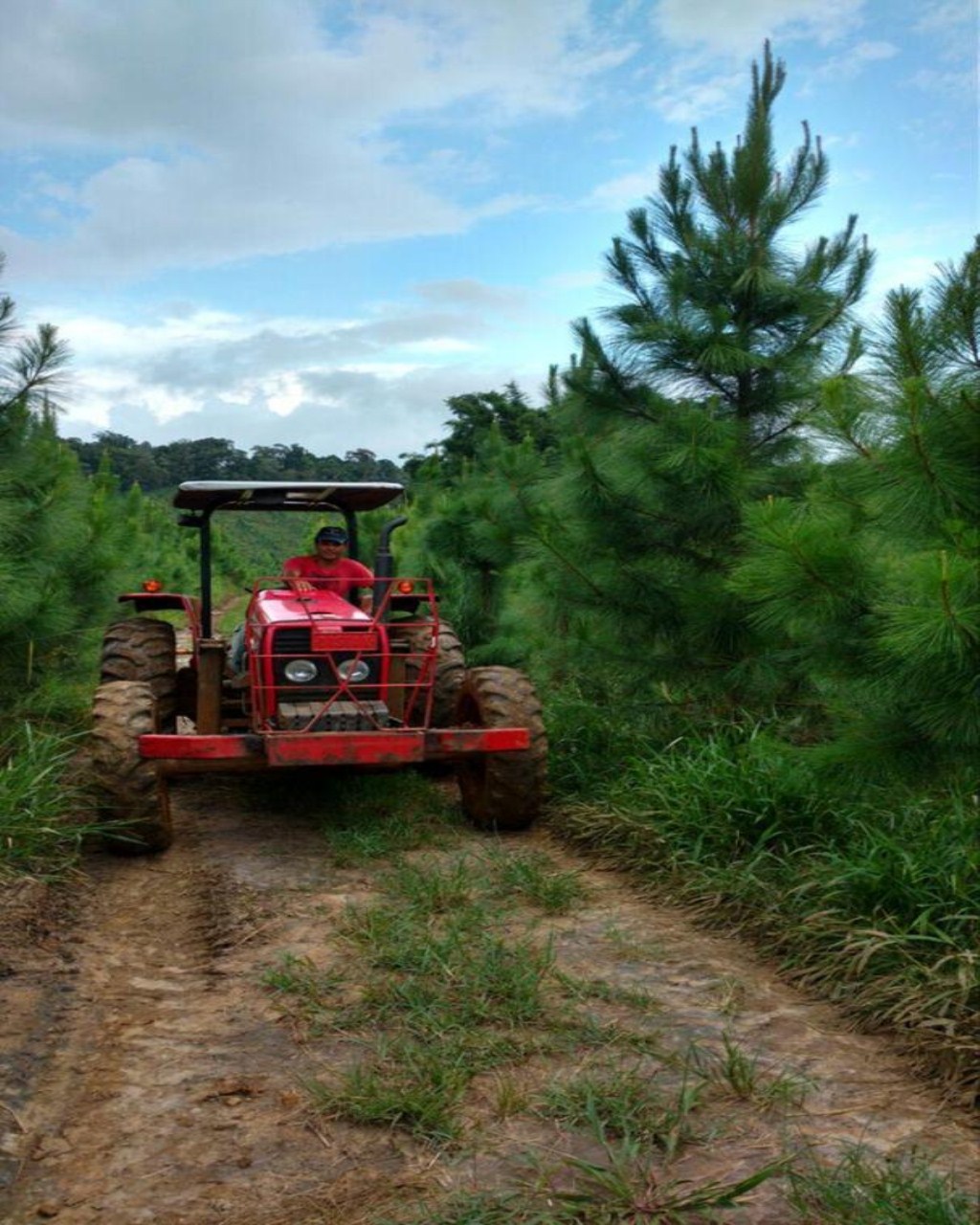 Fazenda à venda, 160m² - Foto 17