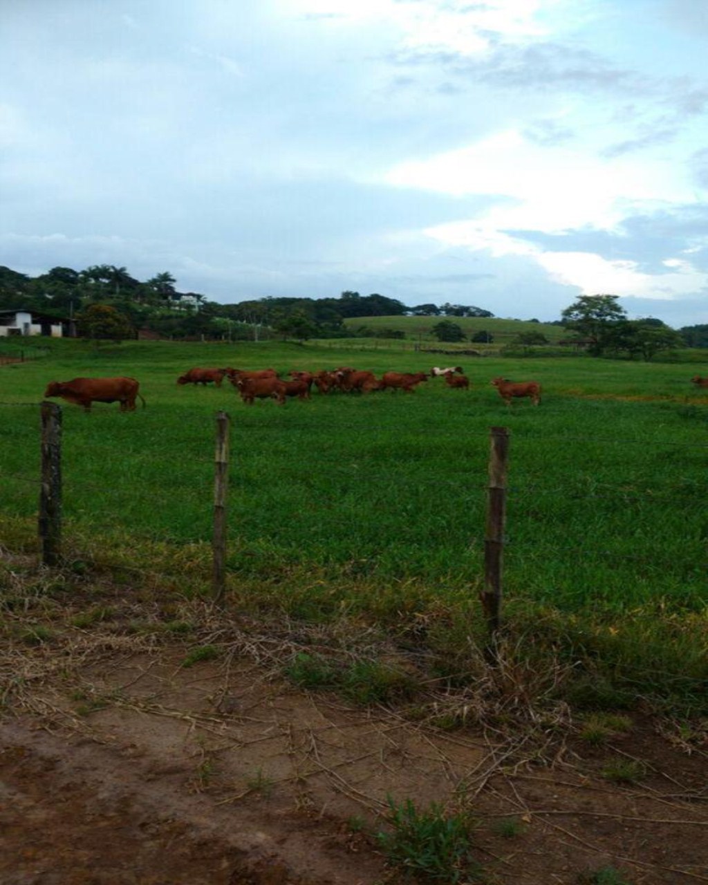 Fazenda à venda, 160m² - Foto 18