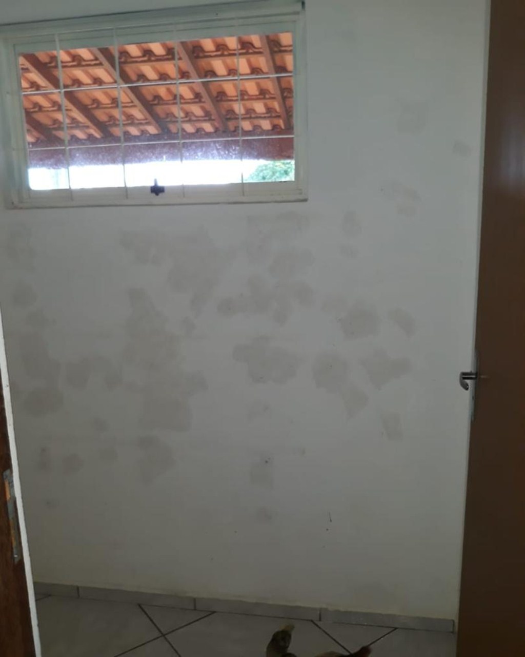 Chácara à venda com 4 quartos, 1000m² - Foto 33