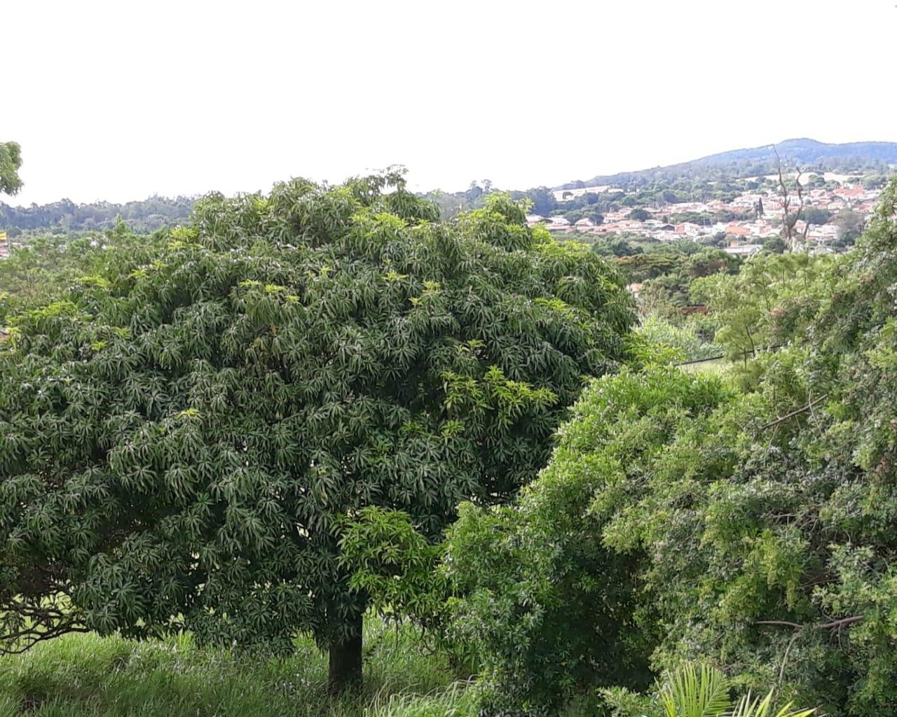 Chácara à venda com 4 quartos, 1000m² - Foto 44