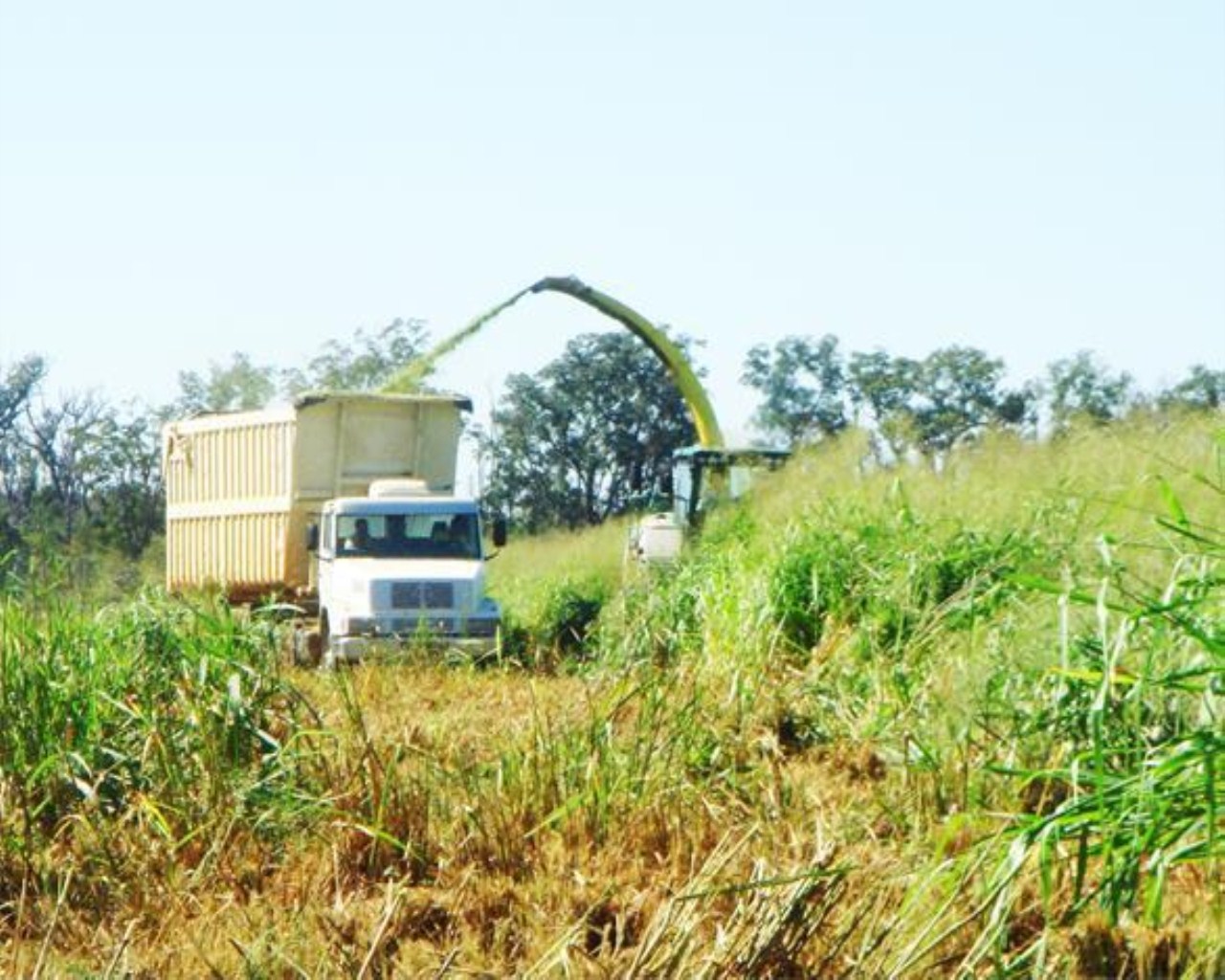 Fazenda à venda com 1 quarto, 11829m² - Foto 25