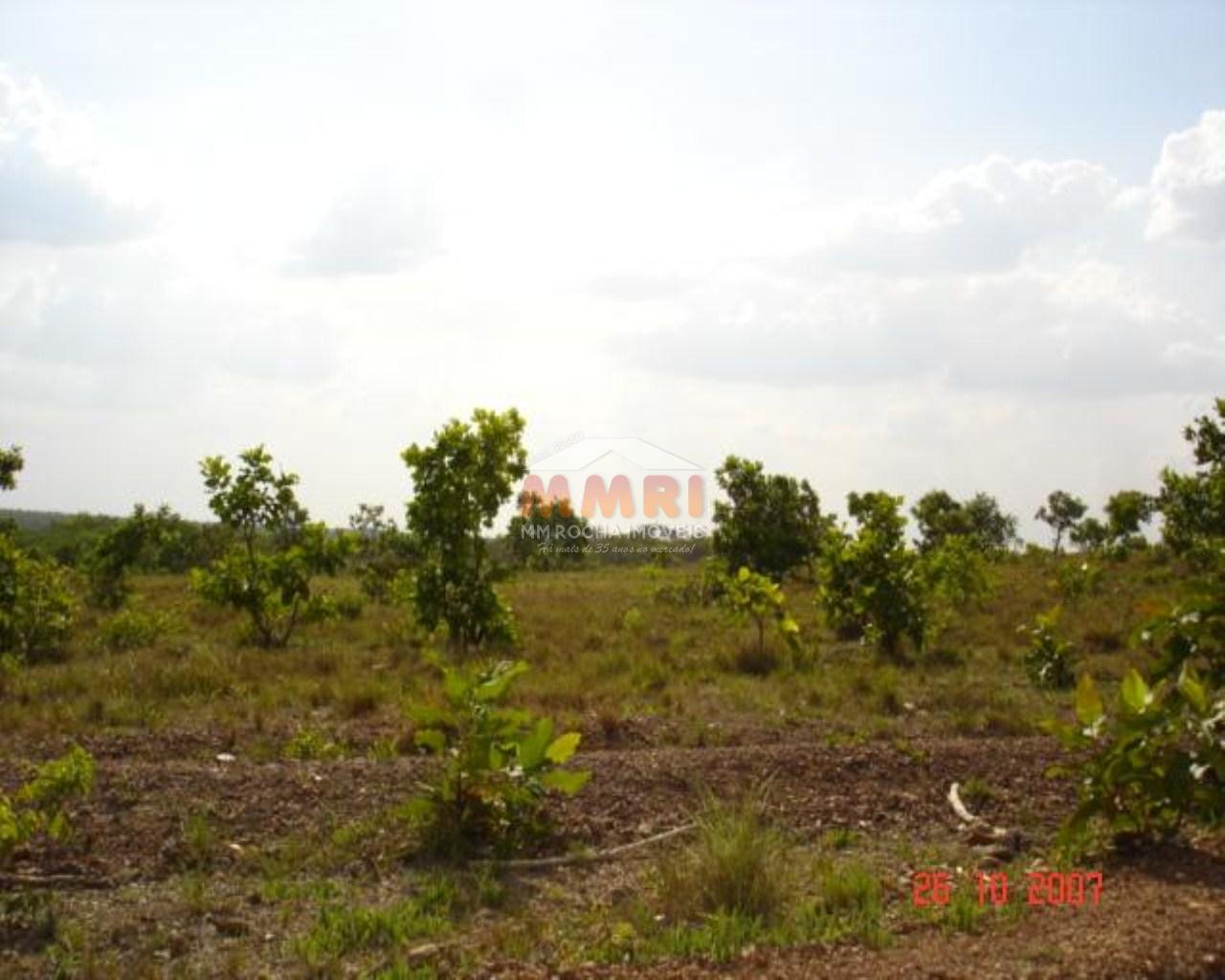 Fazenda à venda, 1301m² - Foto 5