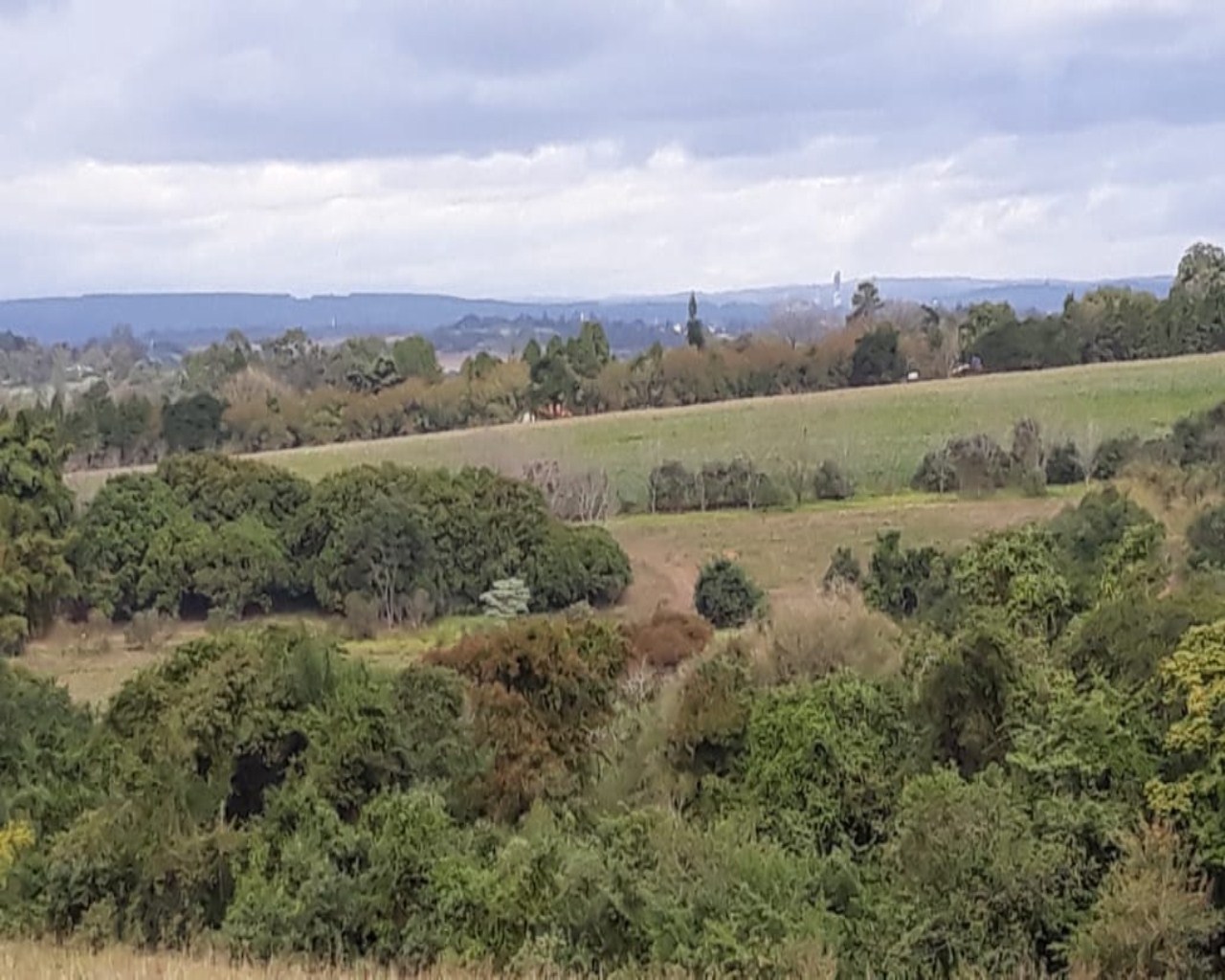 Terreno à venda, 1742000m² - Foto 18