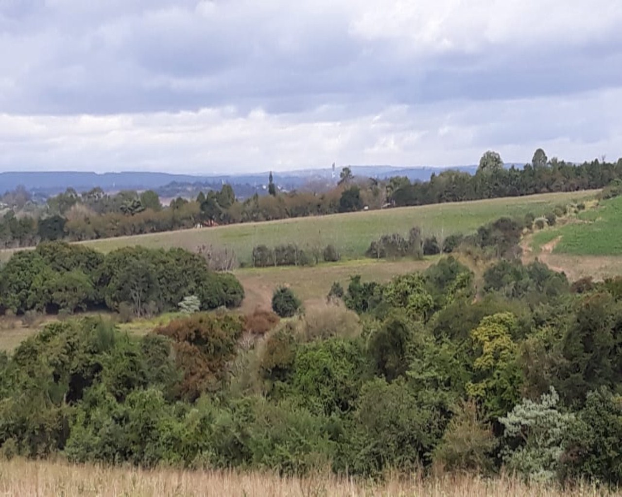 Terreno à venda, 1742000m² - Foto 19