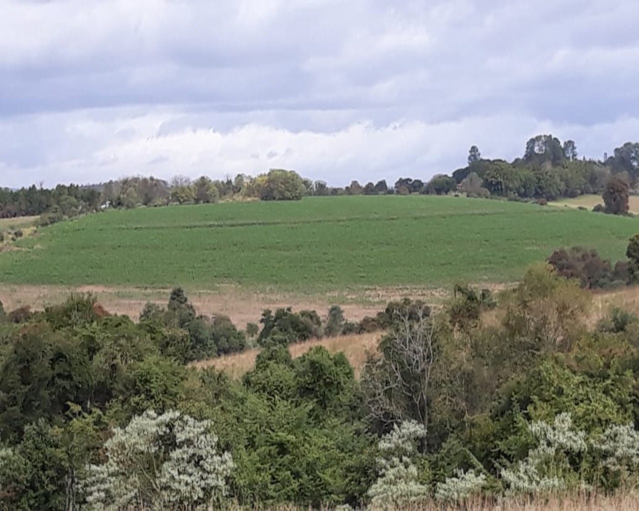 Terreno à venda, 1742000m² - Foto 20