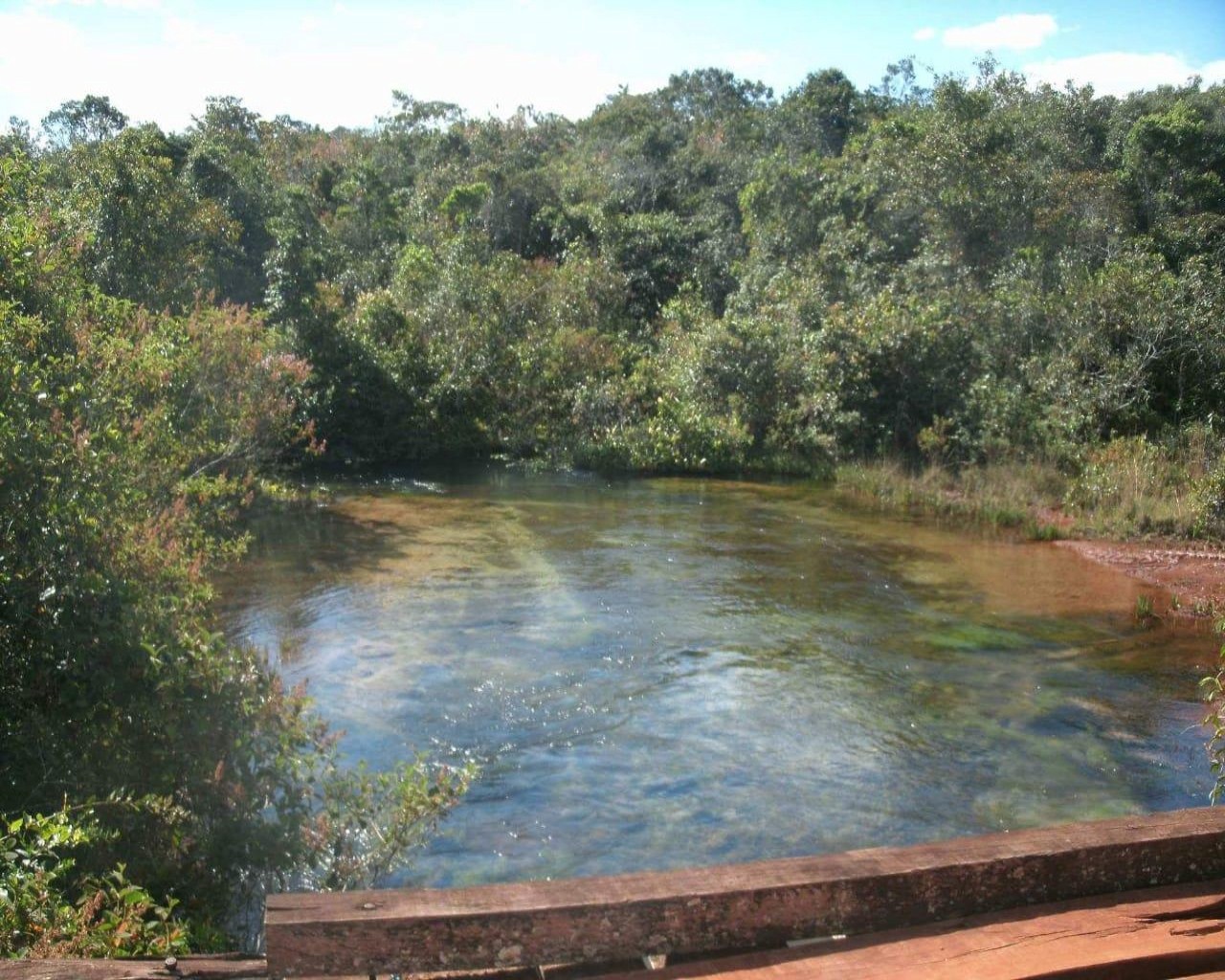 Fazenda à venda, 3226m² - Foto 4