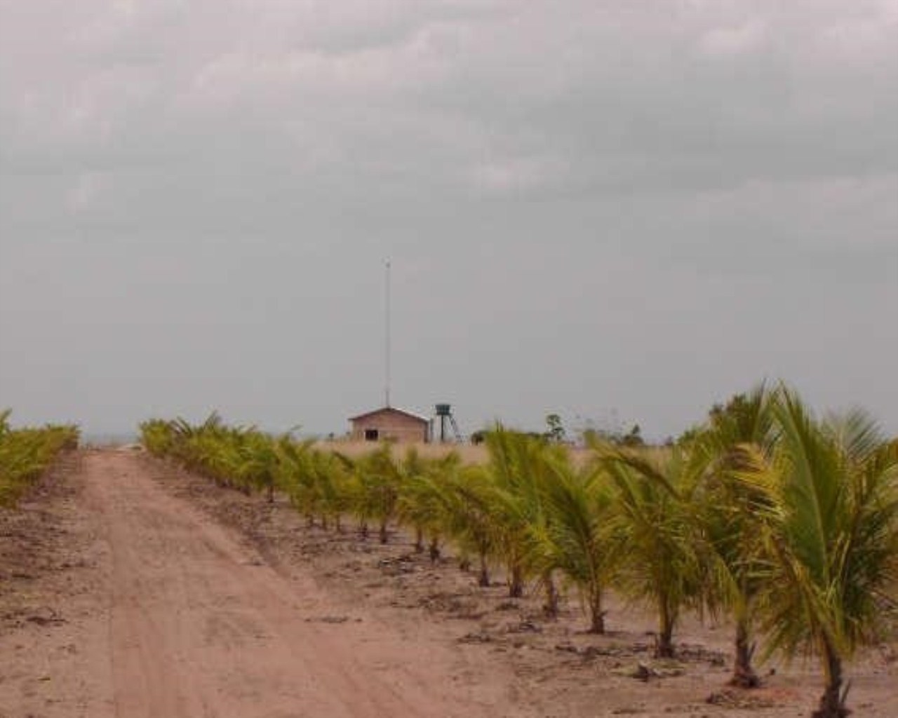 Fazenda à venda, 3226m² - Foto 8