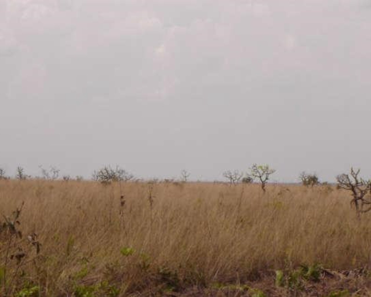 Fazenda à venda, 3226m² - Foto 13