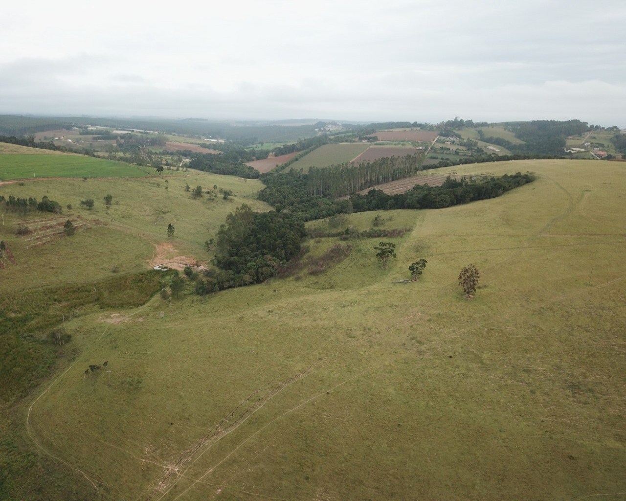 Fazenda à venda, 140m² - Foto 9