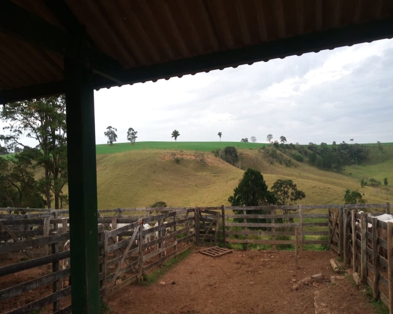 Fazenda à venda, 140m² - Foto 11