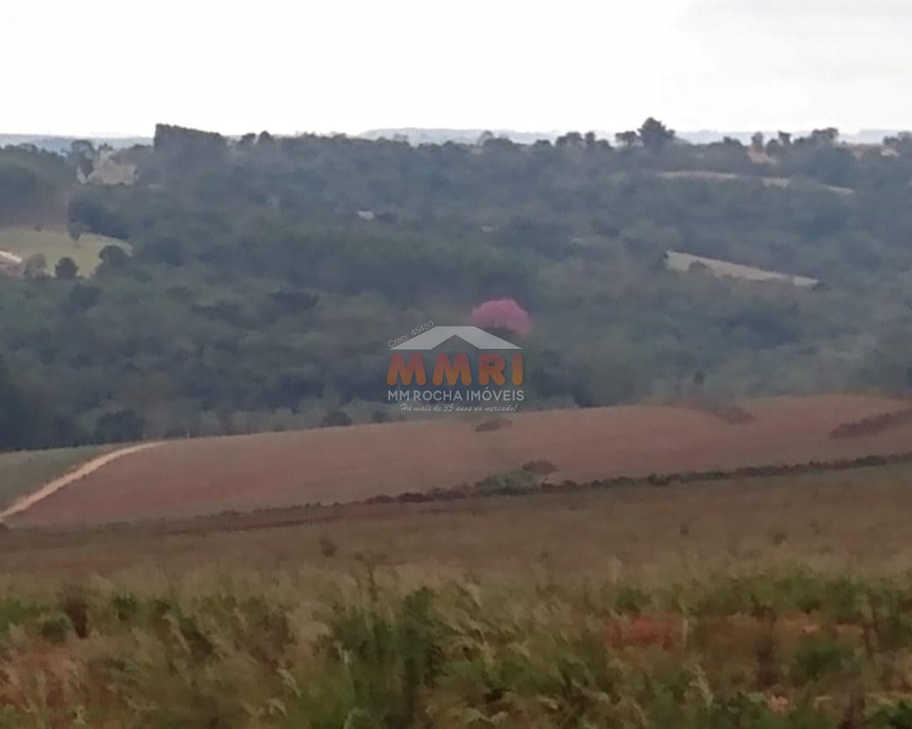 Fazenda à venda, 100m² - Foto 4