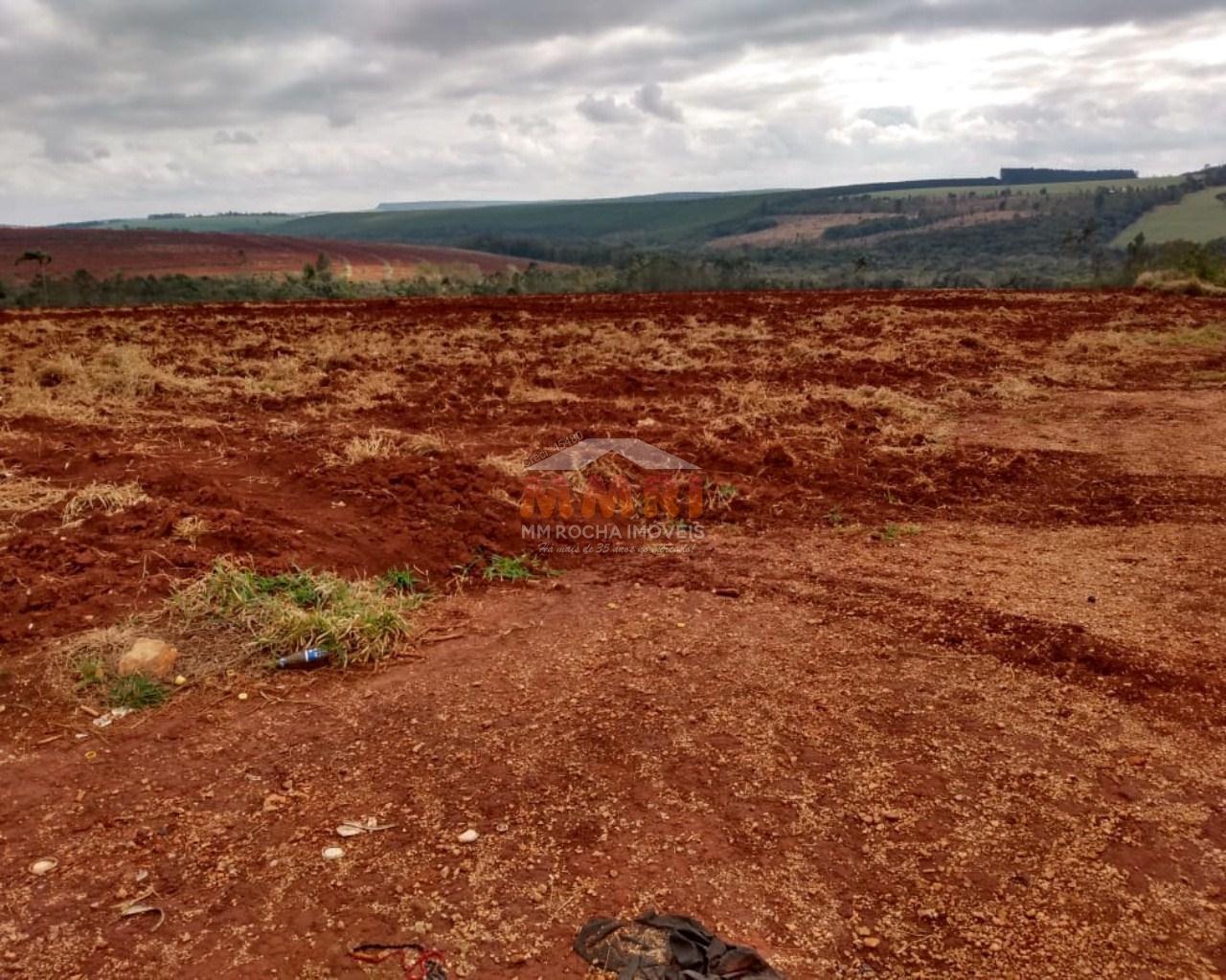 Fazenda à venda, 100m² - Foto 10