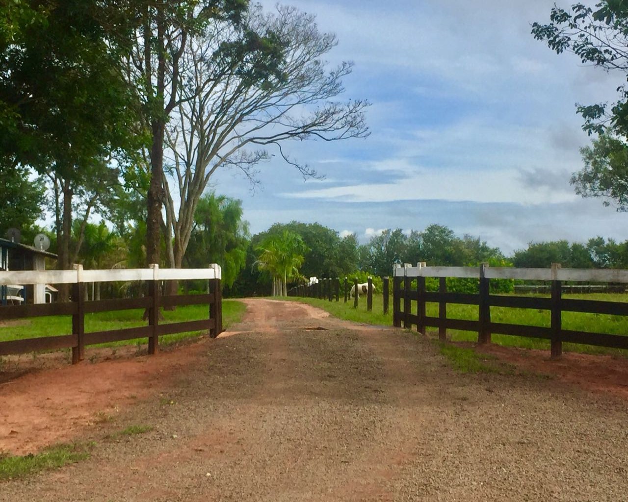 Fazenda à venda, 304m² - Foto 1