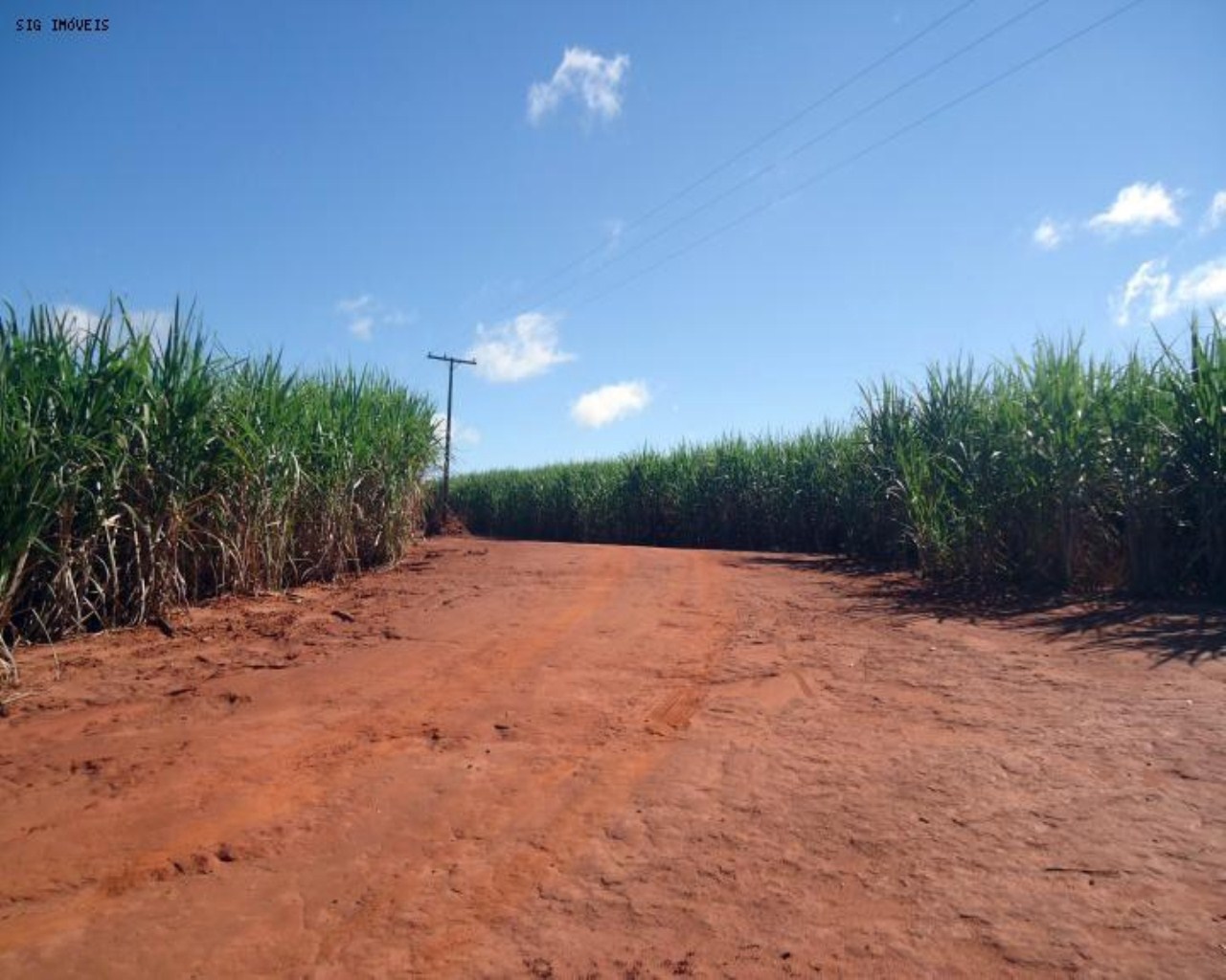 Fazenda à venda, 1463m² - Foto 3