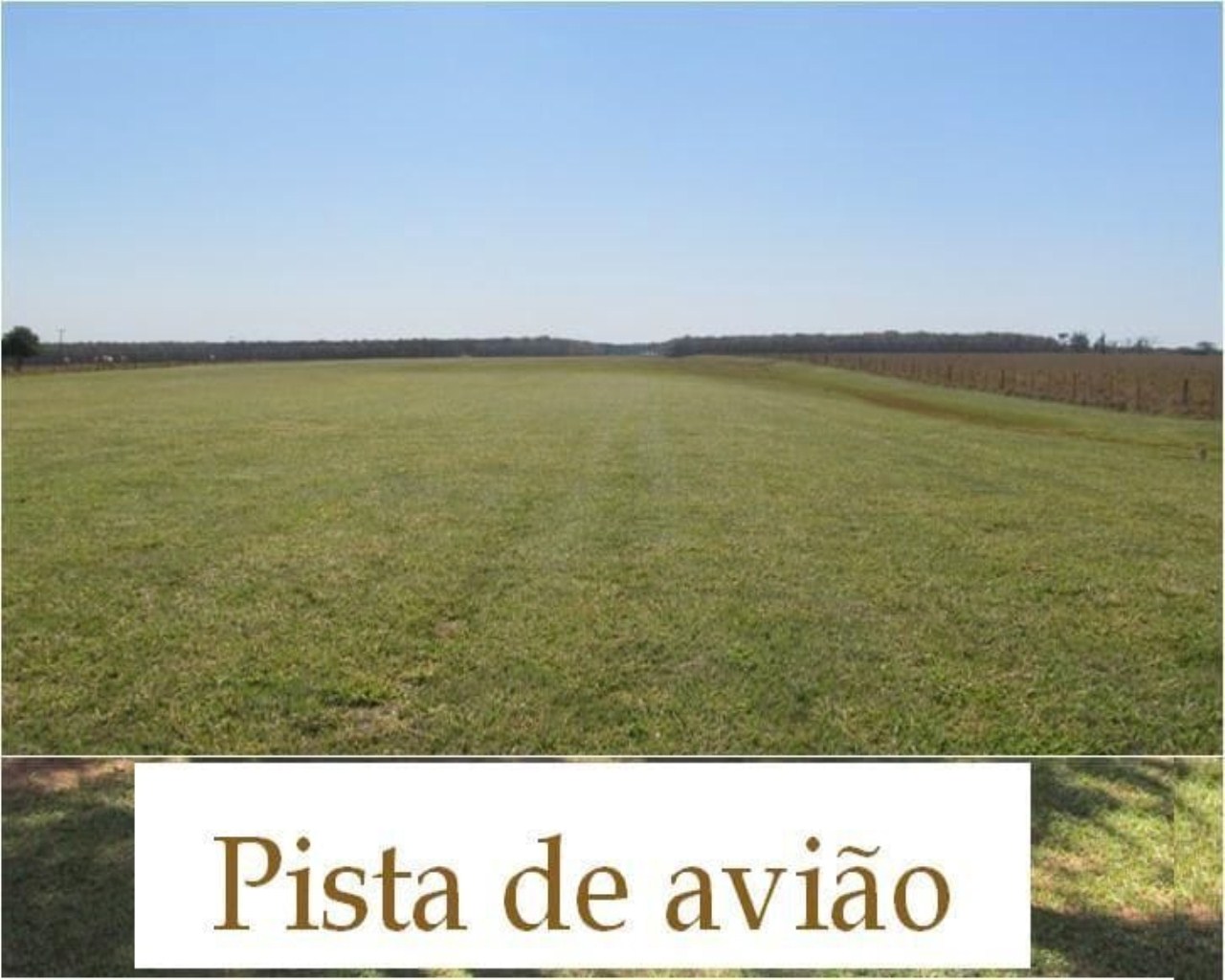 Fazenda à venda, 1463m² - Foto 4